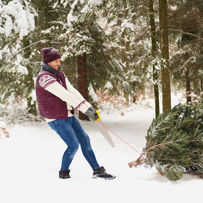 Mann zieht Tannenbaum im Schnee.