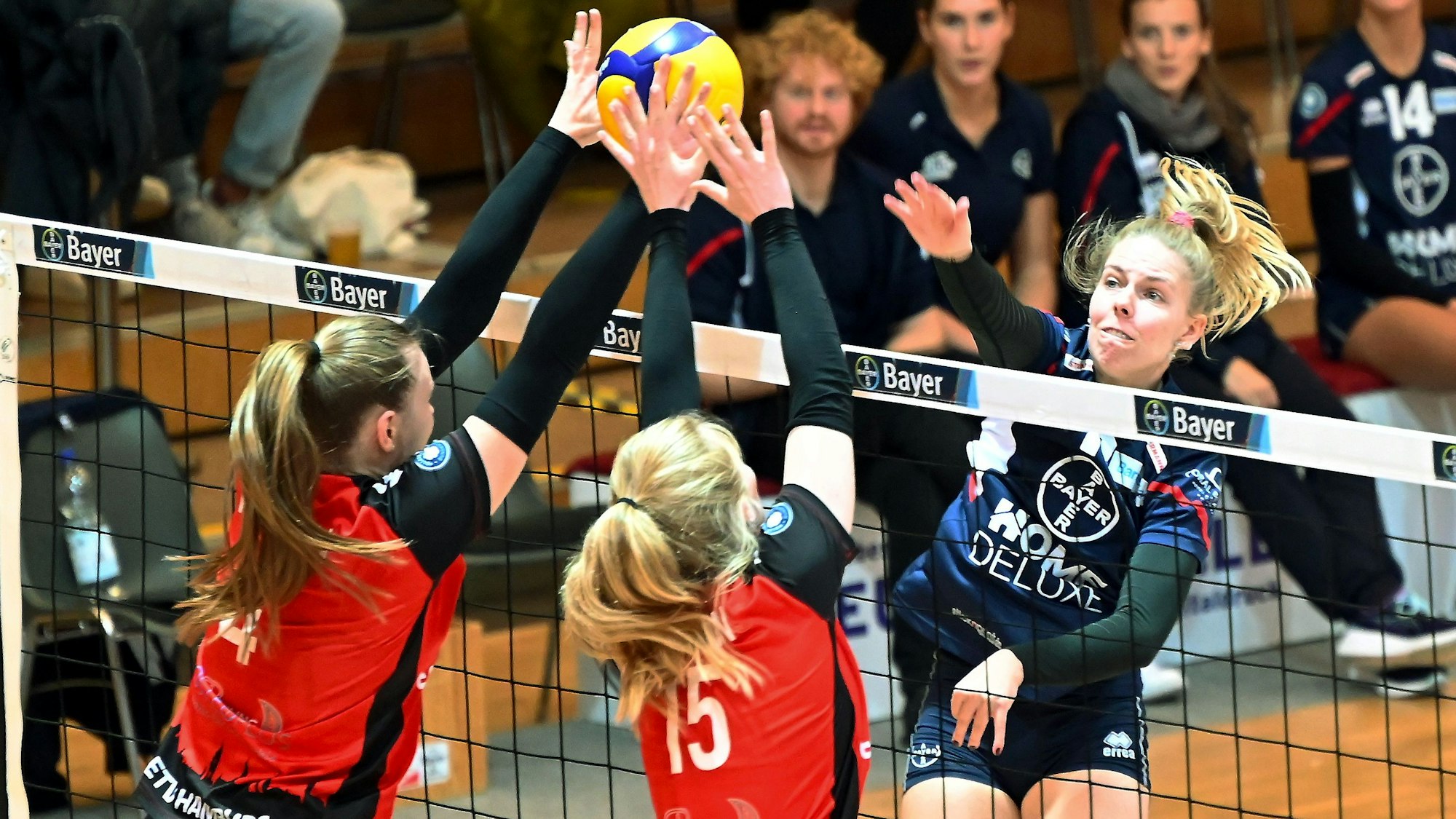 21.10.2023, Volleyball-Bayer Volleys - Hamburg
rechts: Charlotta Werscheck (Bayer)
Foto: Uli Herhaus