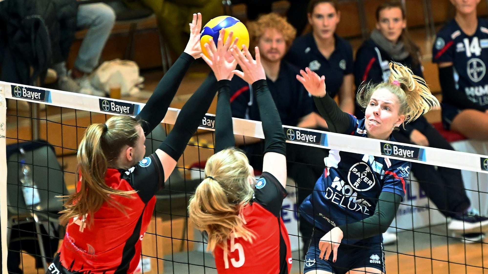 21.10.2023, Volleyball-Bayer Volleys - Hamburg
rechts: Charlotta Werscheck (Bayer)
Foto: Uli Herhaus