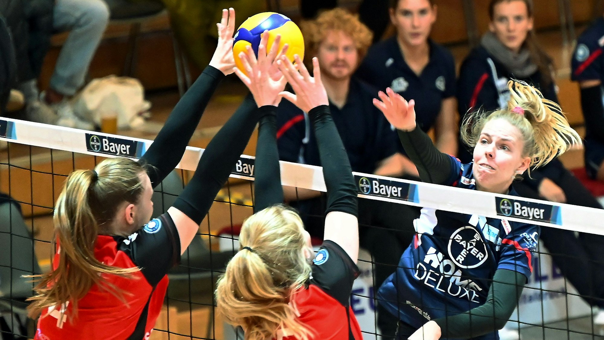 21.10.2023, Volleyball-Bayer Volleys - Hamburg
rechts: Charlotta Werscheck (Bayer)
Foto: Uli Herhaus