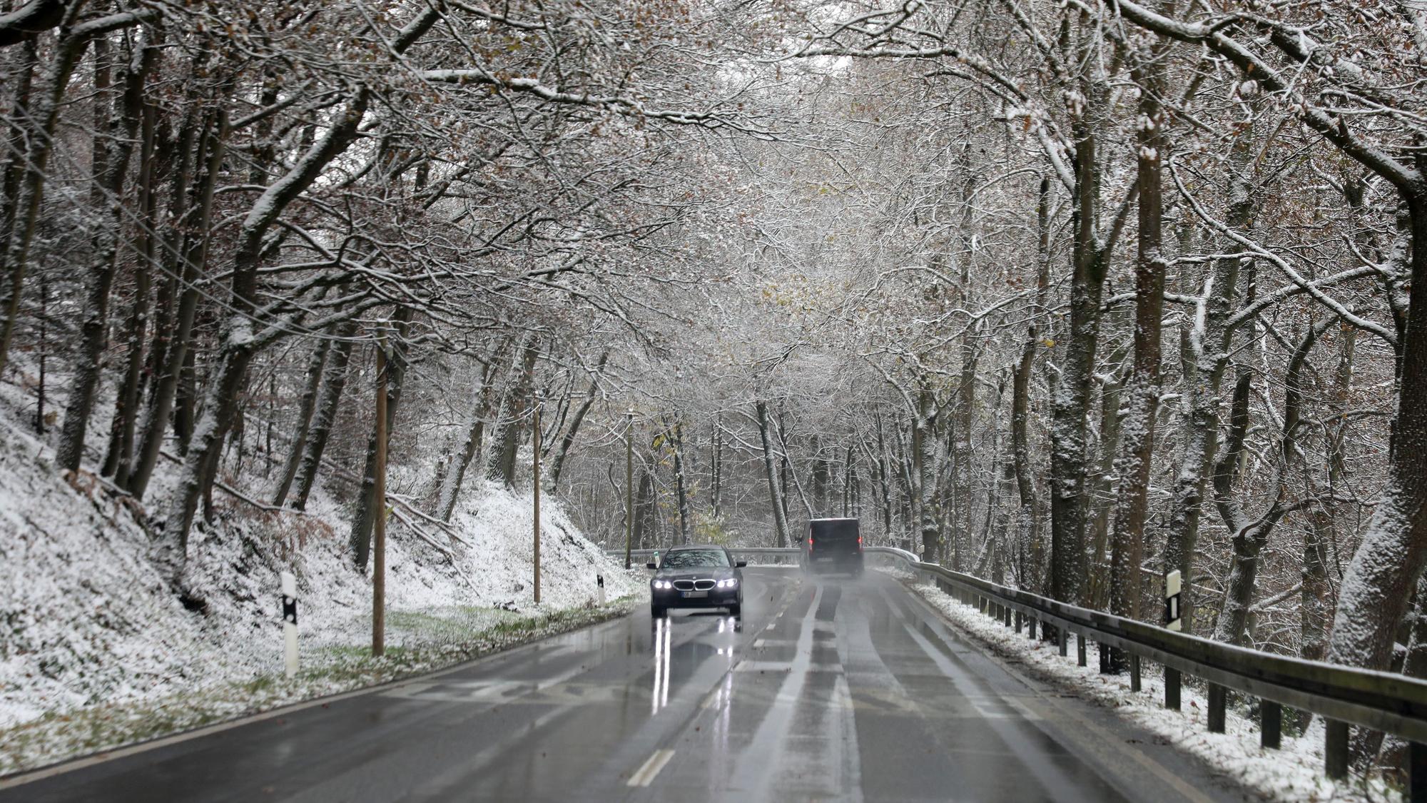 Autos fahren auf einer nassen Straße unter schneebedeckten Bäumen hindurch.