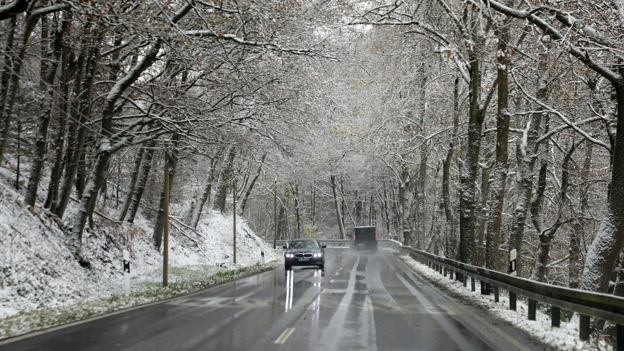 Autos fahren auf einer nassen Straße unter schneebedeckten Bäumen hindurch.