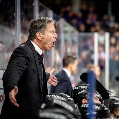 Uwe Krupp schreit auf der Bank beim Spiel seiner Kölner Haie.