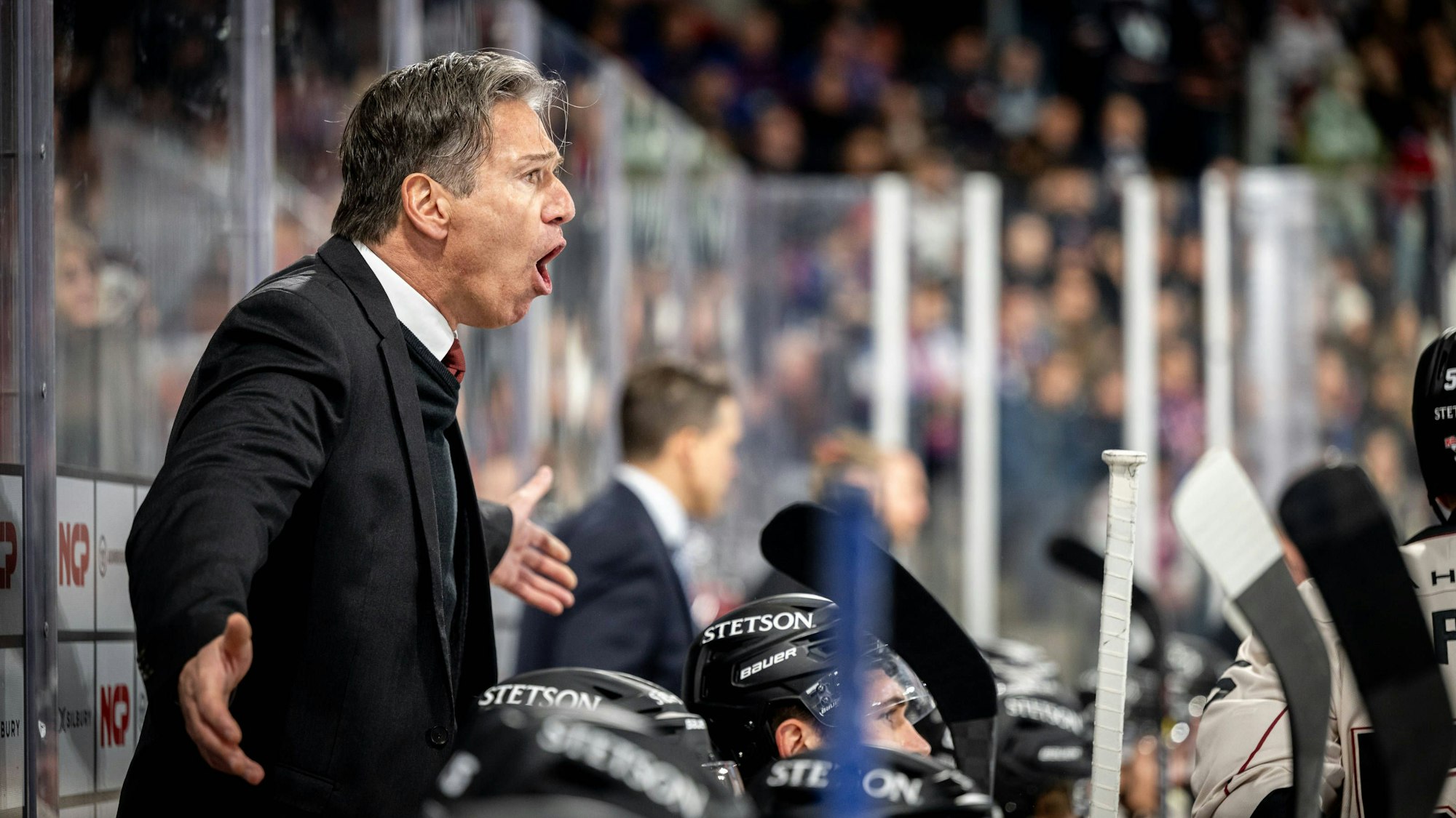 Uwe Krupp schreit auf der Bank beim Spiel seiner Kölner Haie.