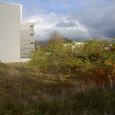 Eine Baugrube ist von dichtem Buschwerk überwuchert. Links ist die Wand eines Bürogebäudes zu sehen; sie zeigt die Umrisse des geplanten Anbaus.