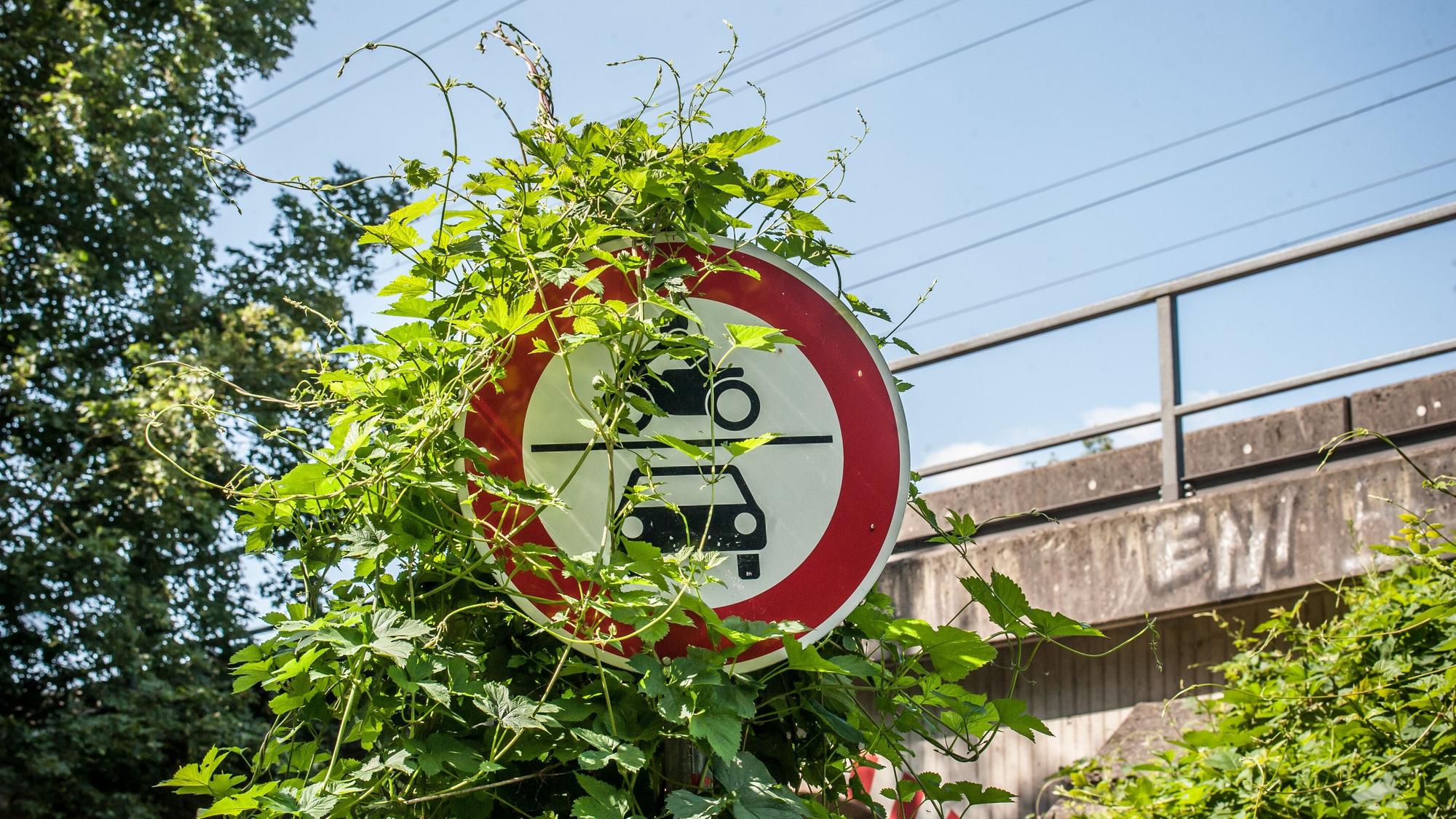 Ein grün umranktes Verkehrsschild vor einer Eisenbahnbrücke in Leverkusen.