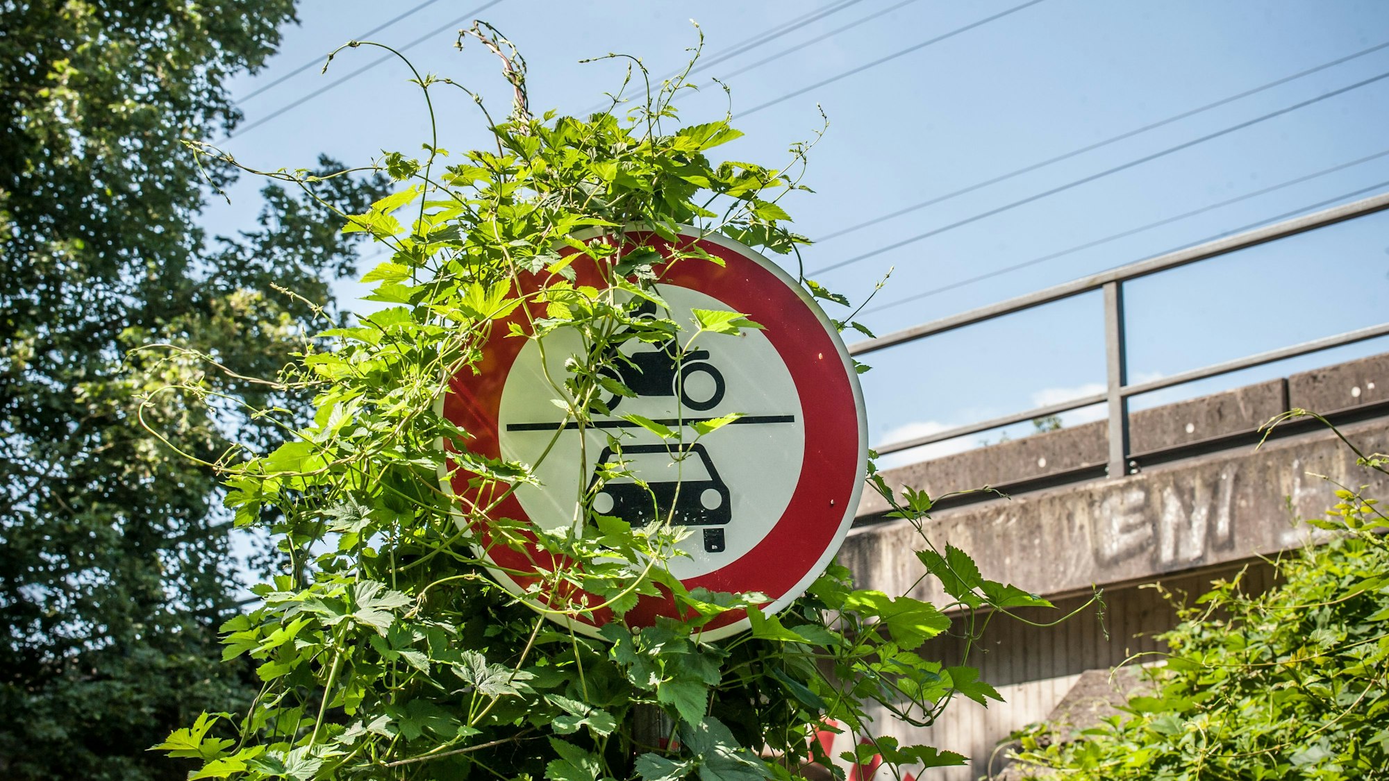 Ein grün umranktes Verkehrsschild vor einer Eisenbahnbrücke in Leverkusen.