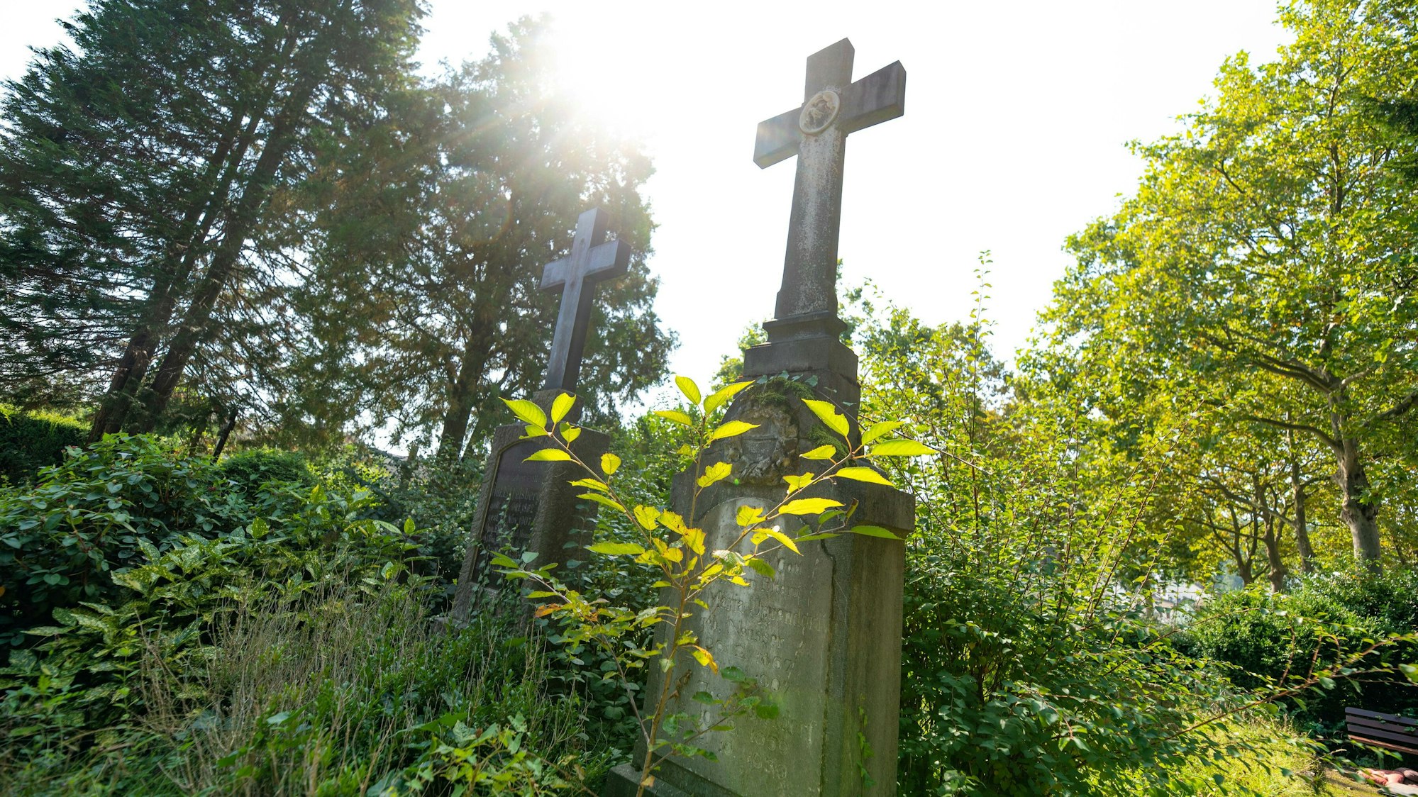 Einige Kreuze stehen auf zugewachsenen Gräbern. (Symbolbild)