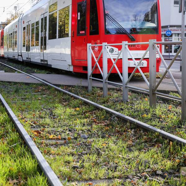Zu sehen sind Bahnschienen und eine Straßenbahn der KVB.