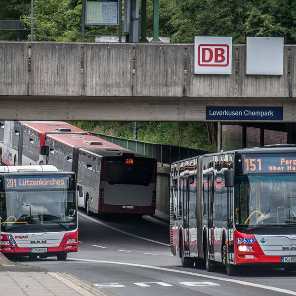 Drei Busse der Wupsi unter einer Unterführung auf Höhe des Chemparks Leverkusen