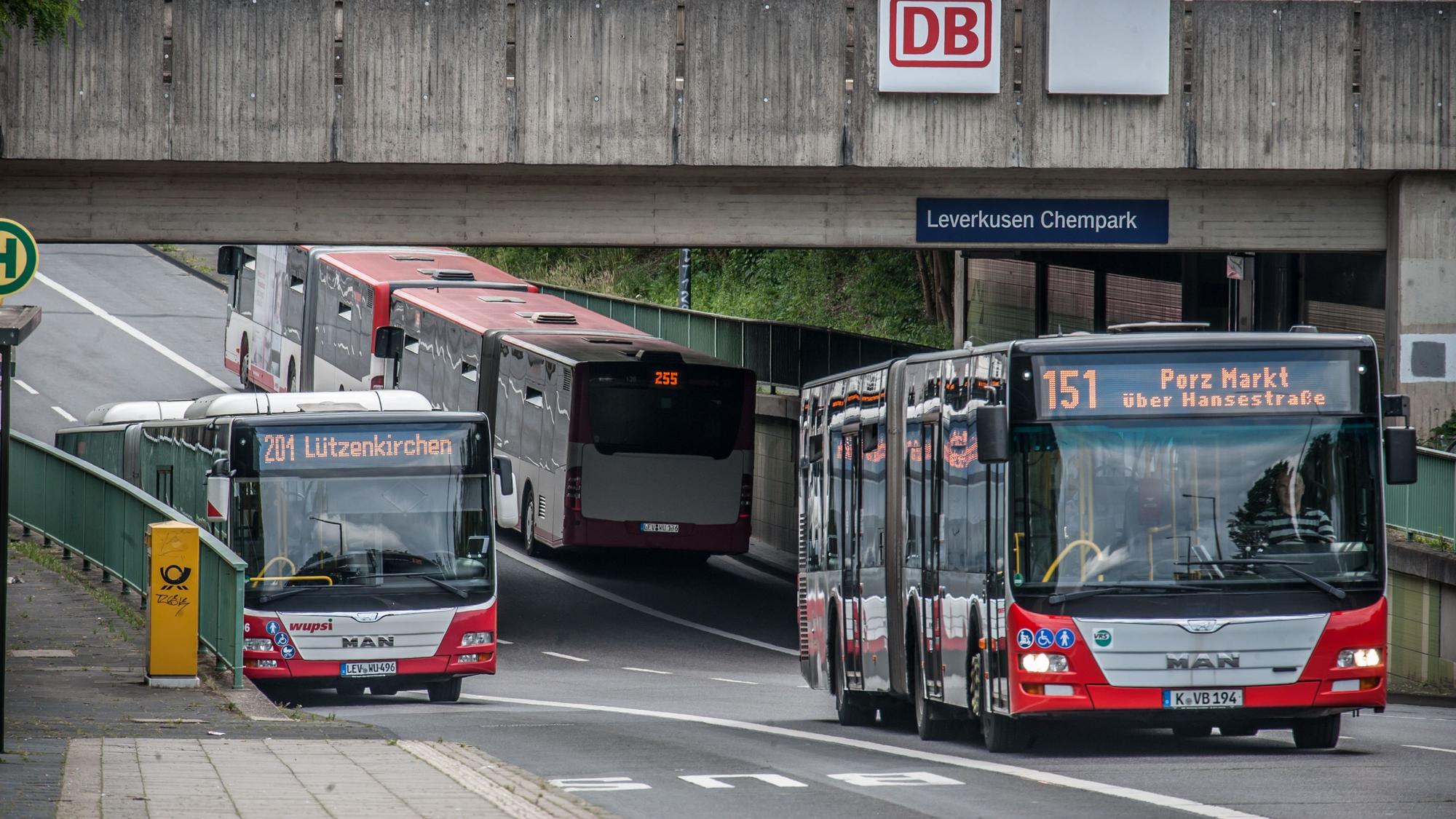 Drei Busse der Wupsi unter einer Unterführung auf Höhe des Chemparks Leverkusen