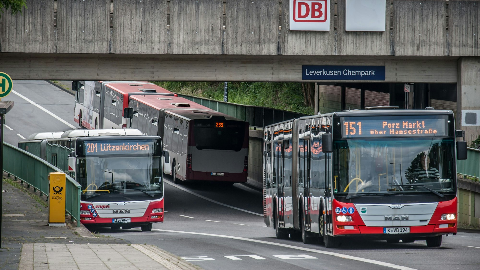 Drei Busse der Wupsi unter einer Unterführung auf Höhe des Chemparks Leverkusen