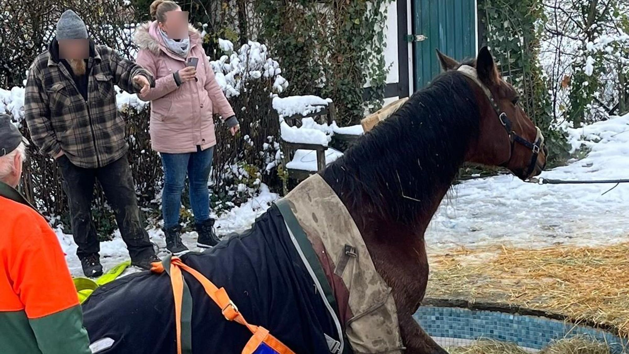 Das Pferd rutschte auf dem Schnee aus und stürzte in das Becken.
