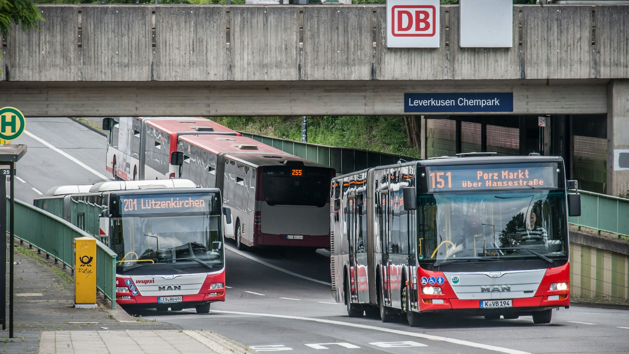 KVB, WUPSI, DB, S6, Haltestelle Chempark, Linie 151, Linie 201. Foto: Ralf Krieger