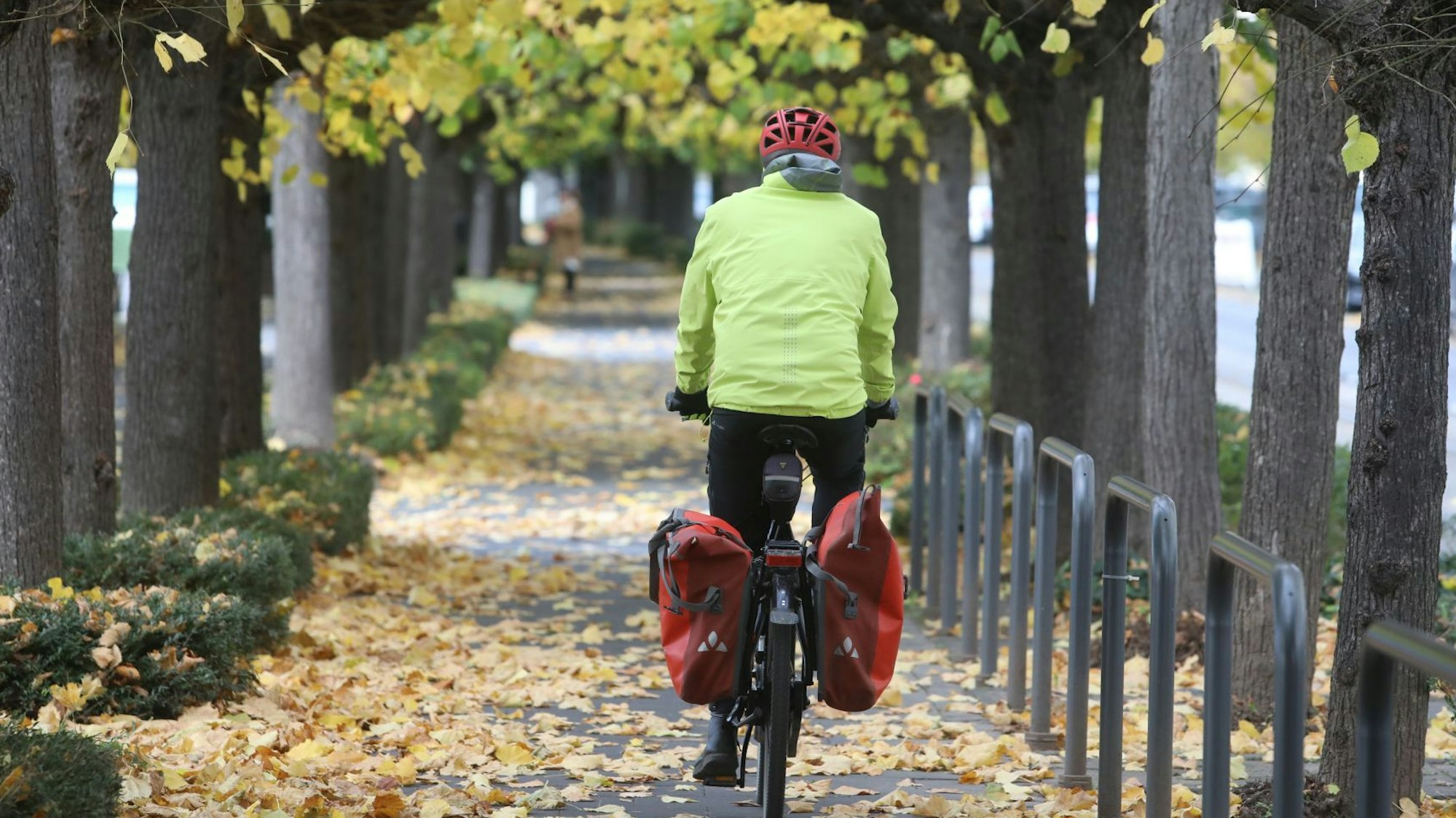 Ein Radfahrer in gelber Jacke fährt auf der Rheinpromenade in Königswinter, sein Fahrrad hat rote Fahrradtaschen.