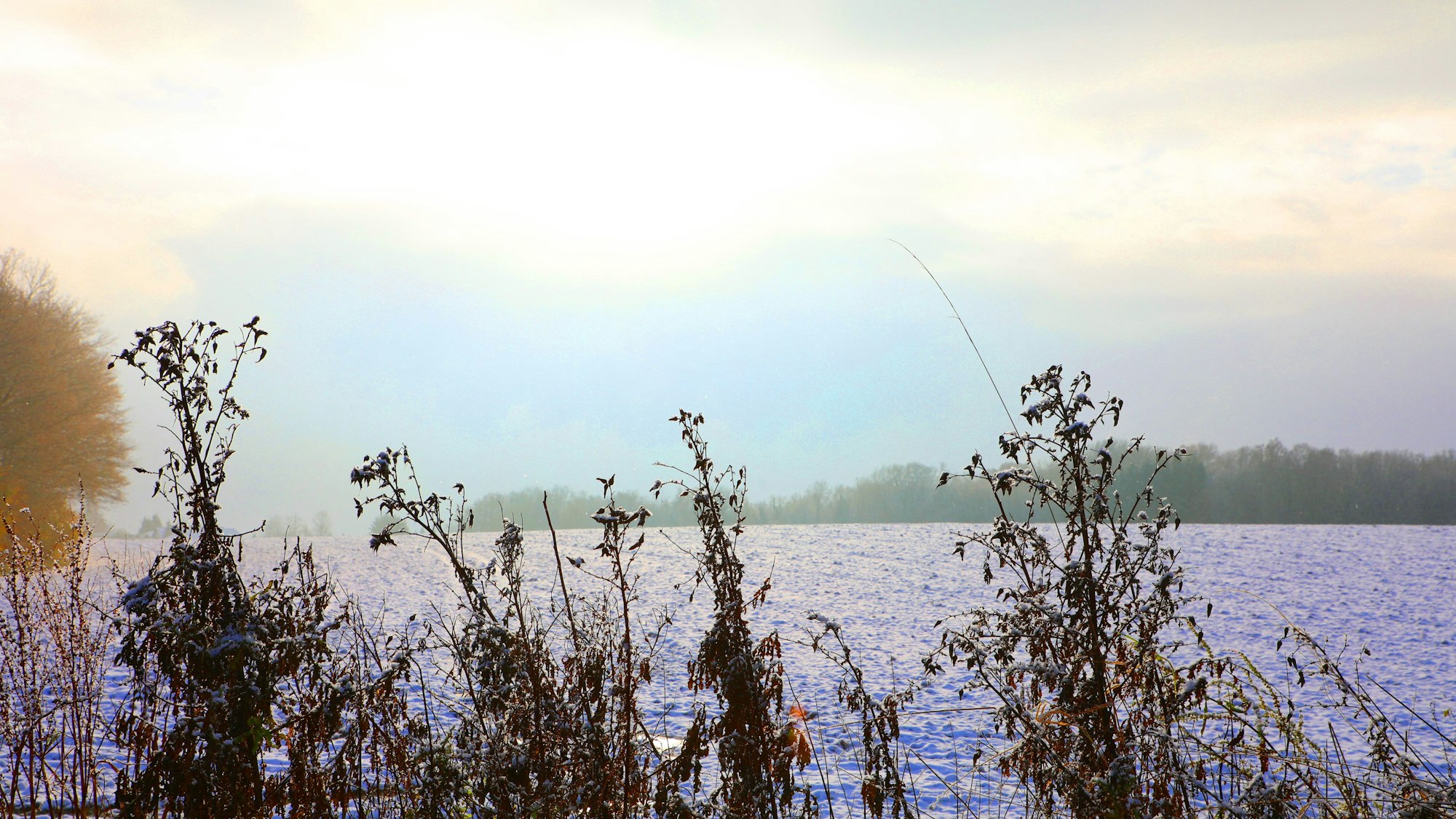 Schneebedeckte Felder auf unserem Wanderweg bei Much.