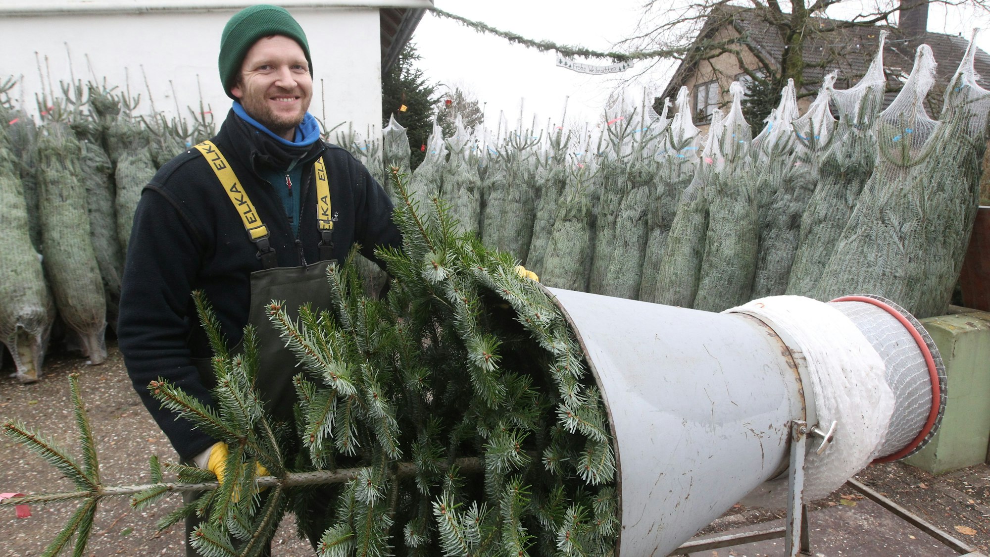 Frederik Hohn verkauft mit seiner Familie in dritter Generation die Tannen in Lohmar-Höffen.