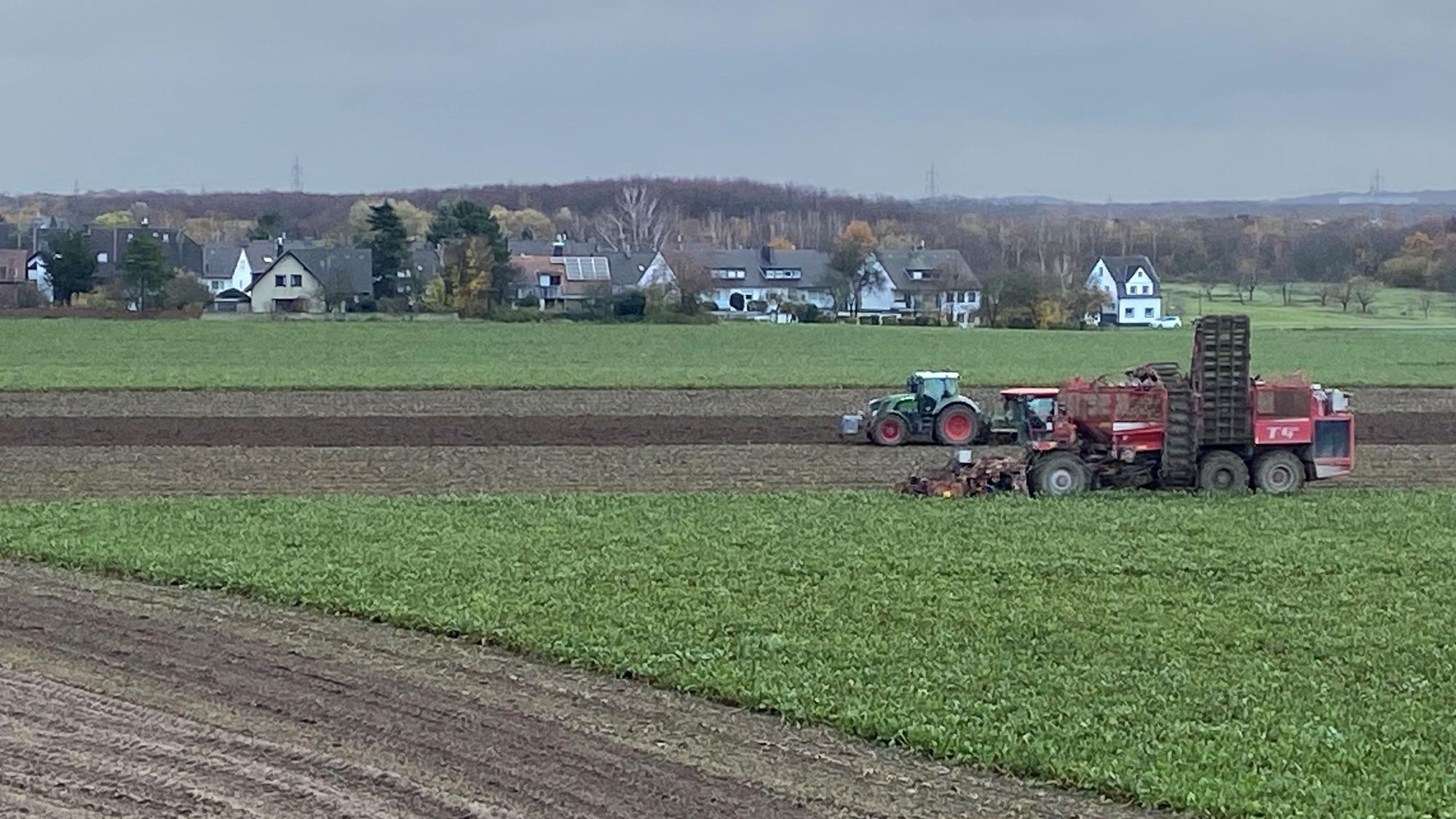 Landwirtschaftliche Fahrzeuge auf den Ackerflächen in Köln-Porz während der Rübenernte