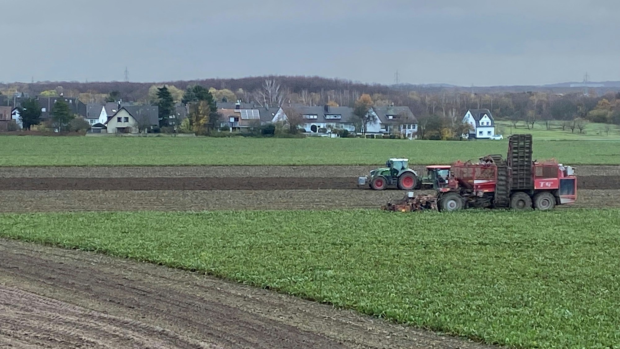 Landwirtschaftliche Fahrzeuge auf den Ackerflächen in Köln-Porz während der Rübenernte