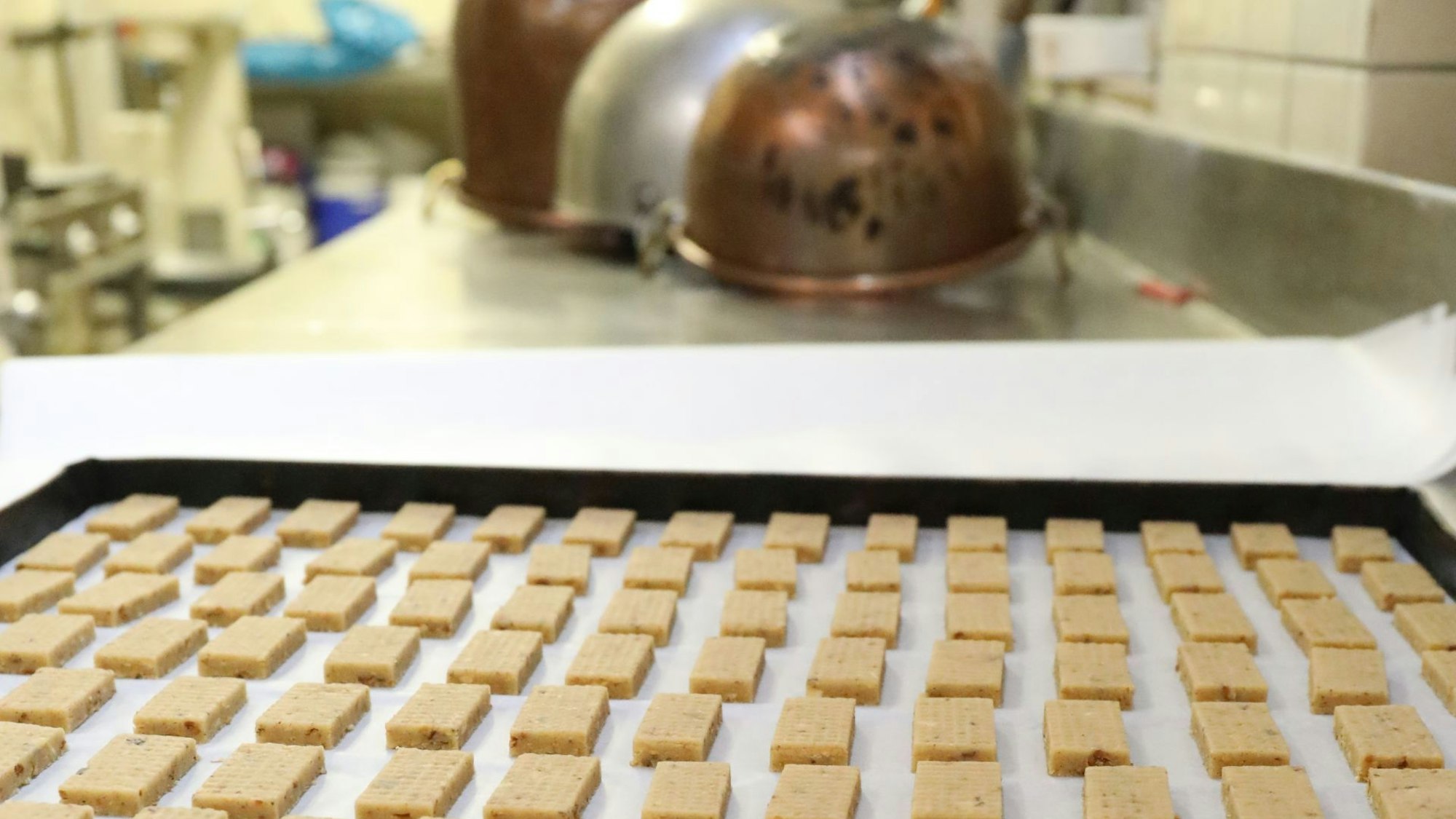 Vorbereitete Plätzchen liegen in der Backstube auf einem Kuchenblech.