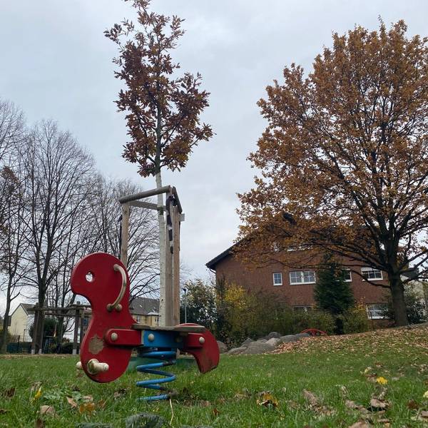Zu sehen ist eine Wippe und dahinter ein neu gepflanzter Baum.