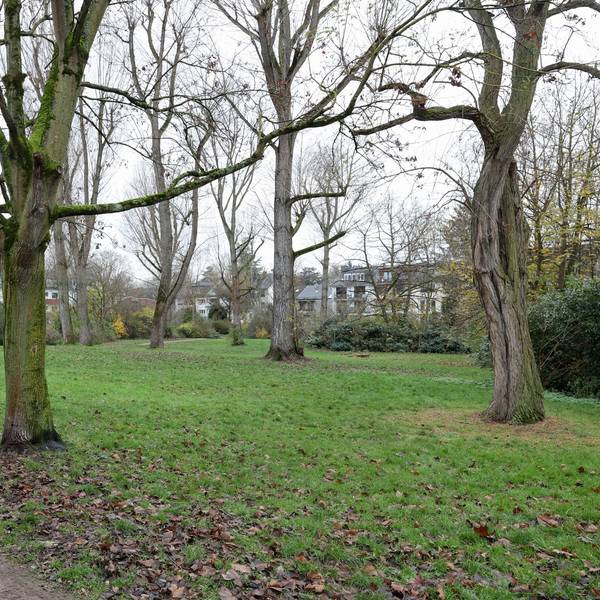 Der Hans-Groß-Park in Lindenthal liegt in der Nähe des Krieler Dömchens.