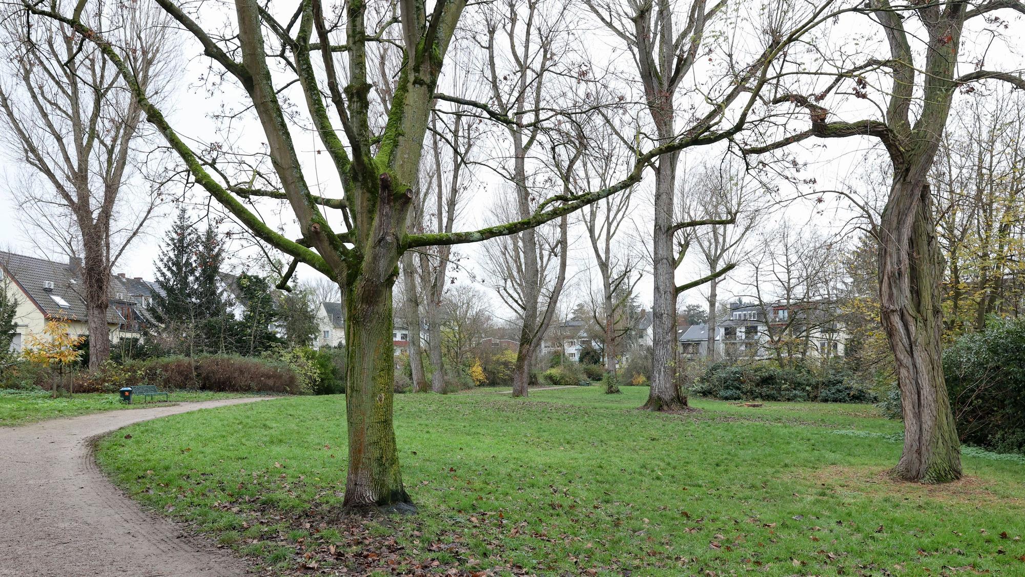Der Hans-Groß-Park in Lindenthal liegt in der Nähe des Krieler Dömchens.