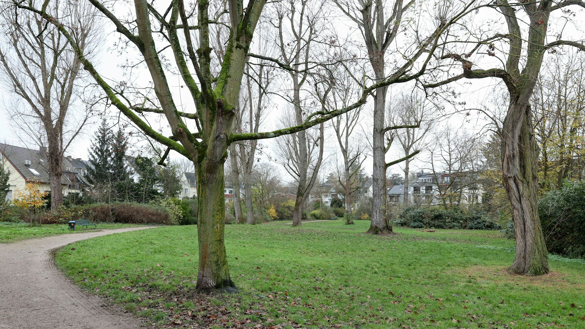 Der Hans-Groß-Park in Lindenthal liegt in der Nähe des Krieler Dömchens.