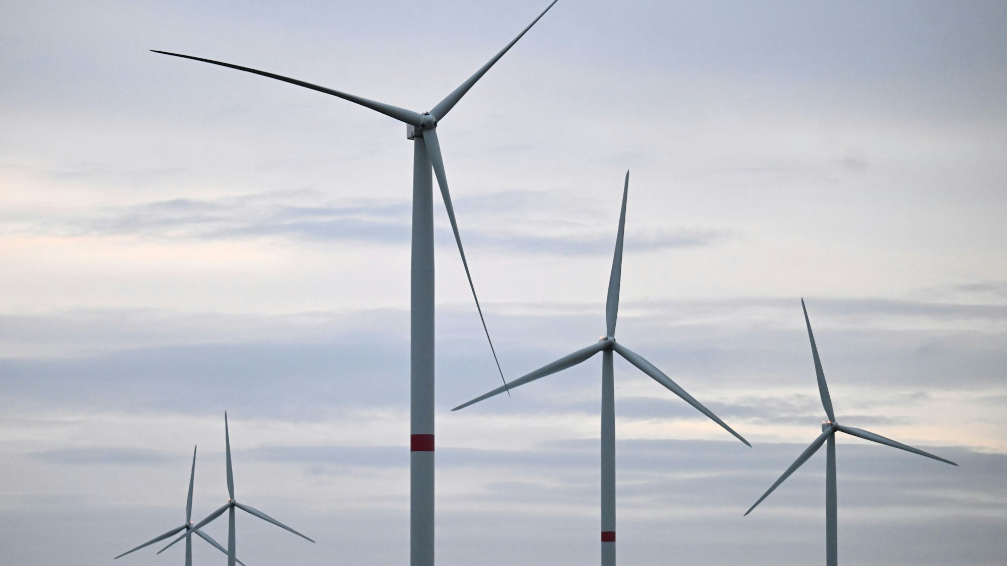 Das Foto zeigt Windräder