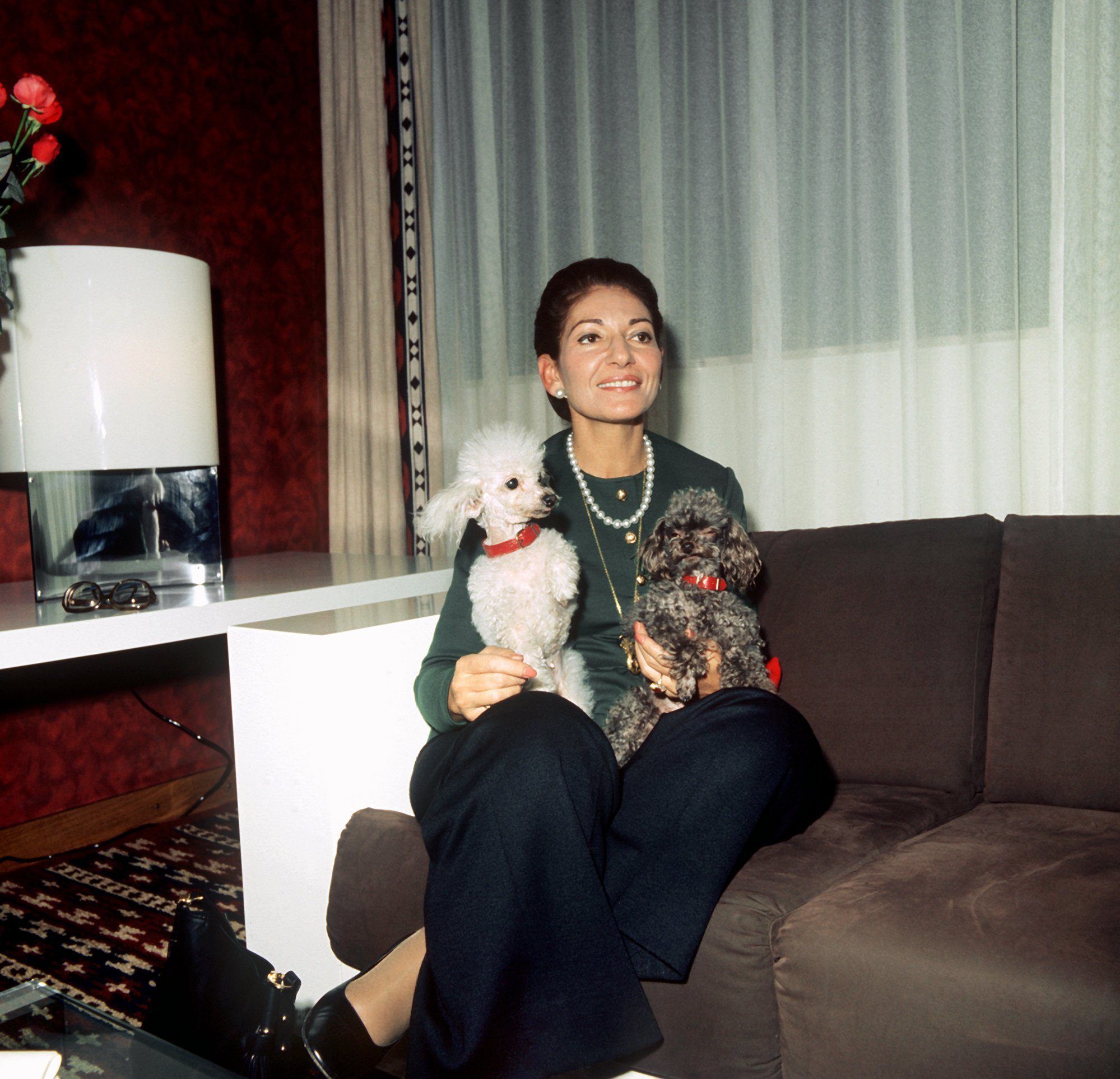 Die italienische Sopranistin Maria Callas sitzt mit einem weißen und einem schwarzen Pudel auf dem Schoß auf einem braunen Sofa in einem Hotelzimmer.