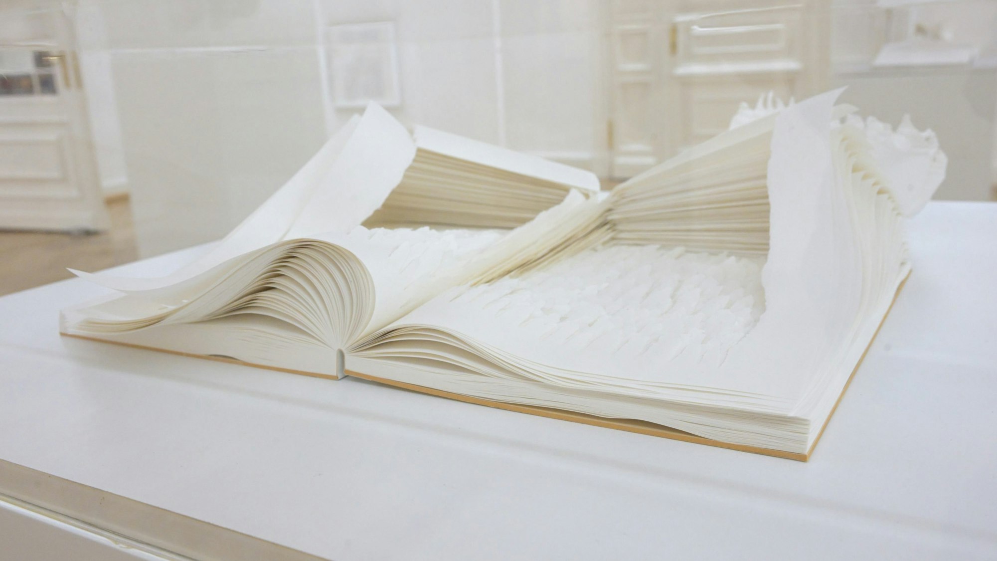 Ausstellung Oskar Holweck-Meister-der-Reduktion- Pressetermin in der Villa Zanders in Anwesenheit von Christiane Mewes-Holweck(r.) und Dr. Petra Oelschlägel (l.)