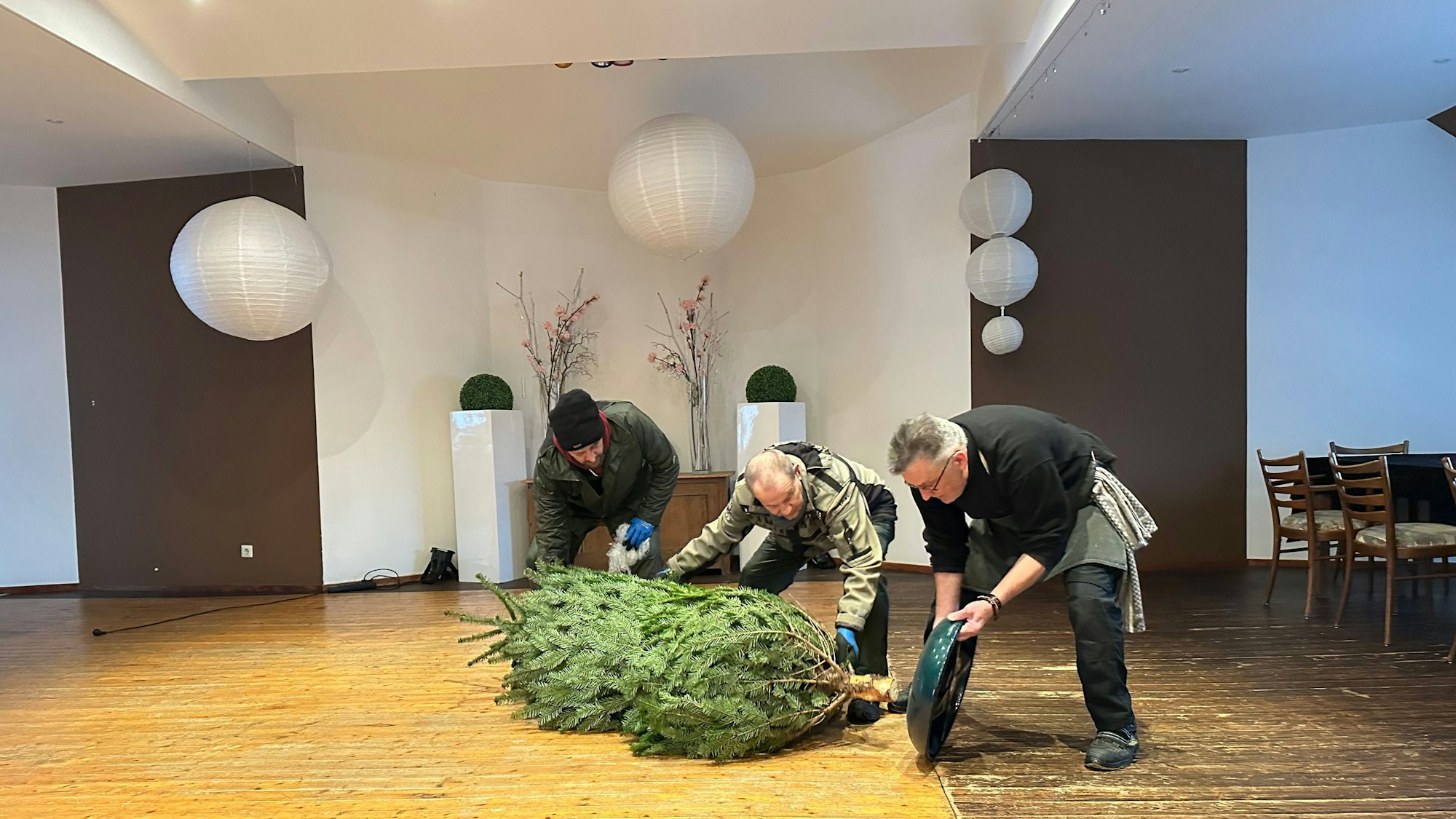 Die Weihnachtstanne im Festsaal vom Gasthaus Röttgen wird aufgestellt.