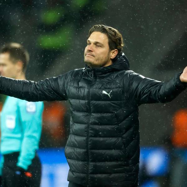 BVB-Trainer Edin Terzic