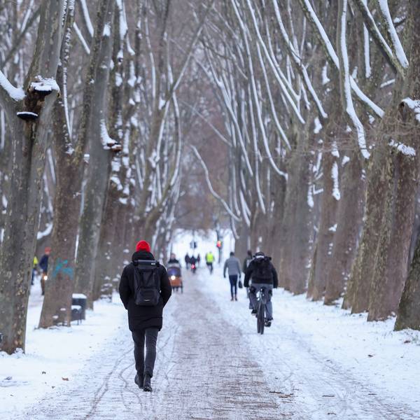Wintereinbruch auch im Inneren Grüngürtel: Kölnerinnen und Kölner schlendern durch den ersten Schnee des Winters.