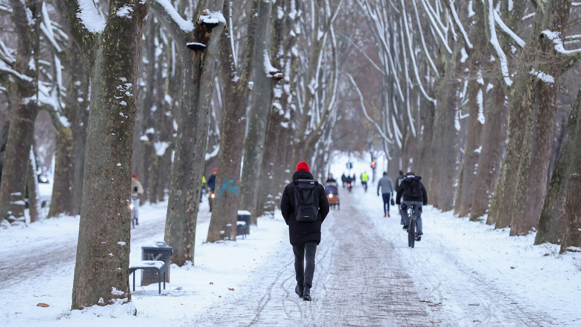 Wintereinbruch auch im Inneren Grüngürtel: Kölnerinnen und Kölner schlendern durch den ersten Schnee des Winters.