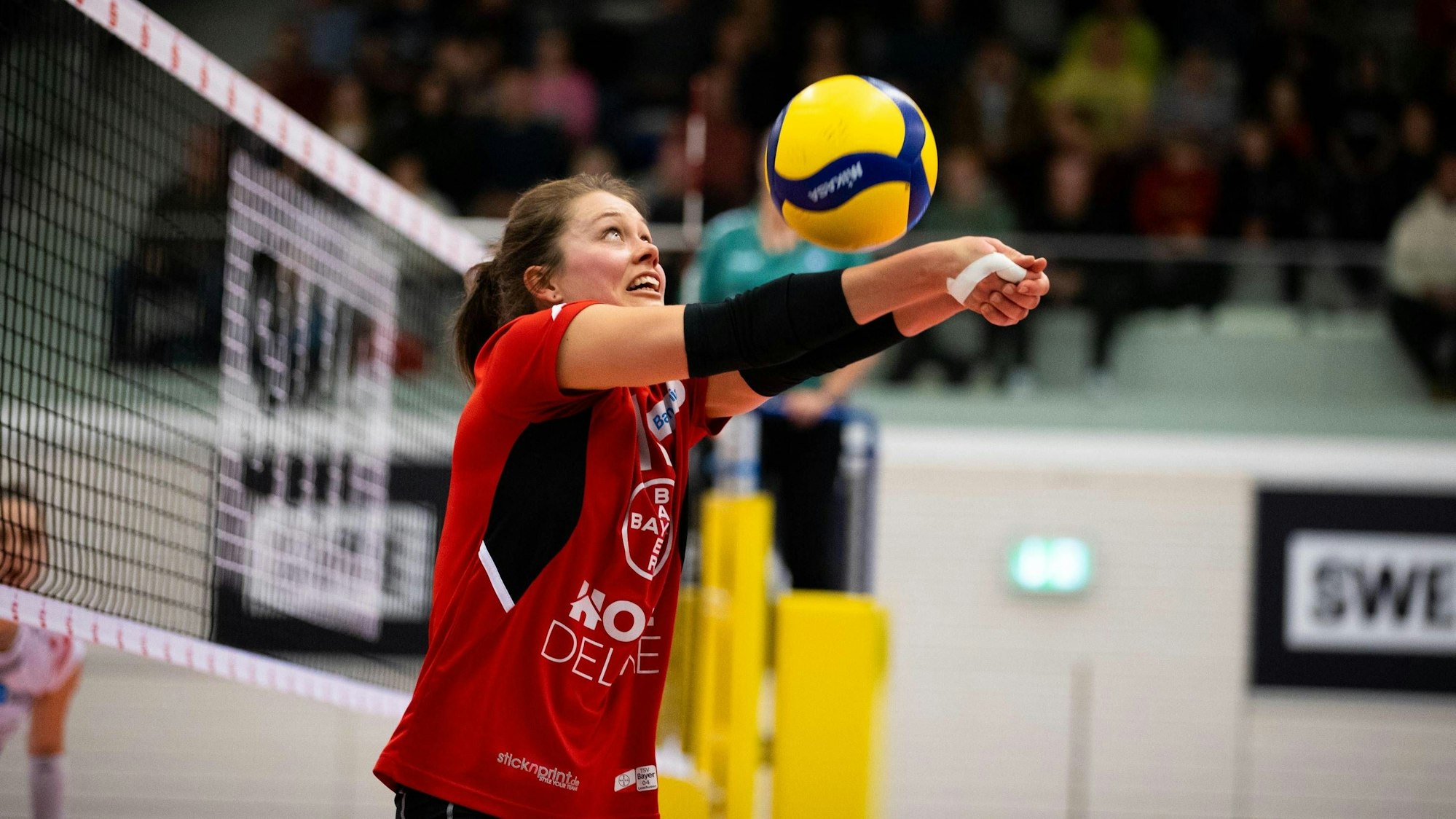 2. Bundesliga Frauen Pro: Schwarz-Weiss Erfurt vs. TSV Bayer 04 Leverkusen Erfurt 18.11.2023 Svenja Enning 11 TSV Bayer 04 Leverkusen 2. Bundesliga Frauen Pro: Schwarz-Weiss Erfurt vs. TSV Bayer 04 Leverkusen Riethsporthalle Erfurt 18.11.2023 *** 2 Bundesliga Women Pro Schwarz Weiss Erfurt vs TSV Bayer 04 Leverkusen Erfurt 18 11 2023 Svenja Enning 11 TSV Bayer 04 Leverkusen 2 Bundesliga Women Pro Schwarz Weiss Erfurt vs TSV Bayer 04 Leverkusen Riethsporthalle Erfurt 18 11 2023 Copyright: xBEAUTIFULxSPORTS/Duehringx