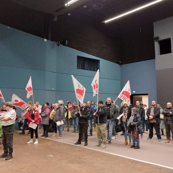 Menschen protestieren mit Fahnen in einer Stadtratssitzung.