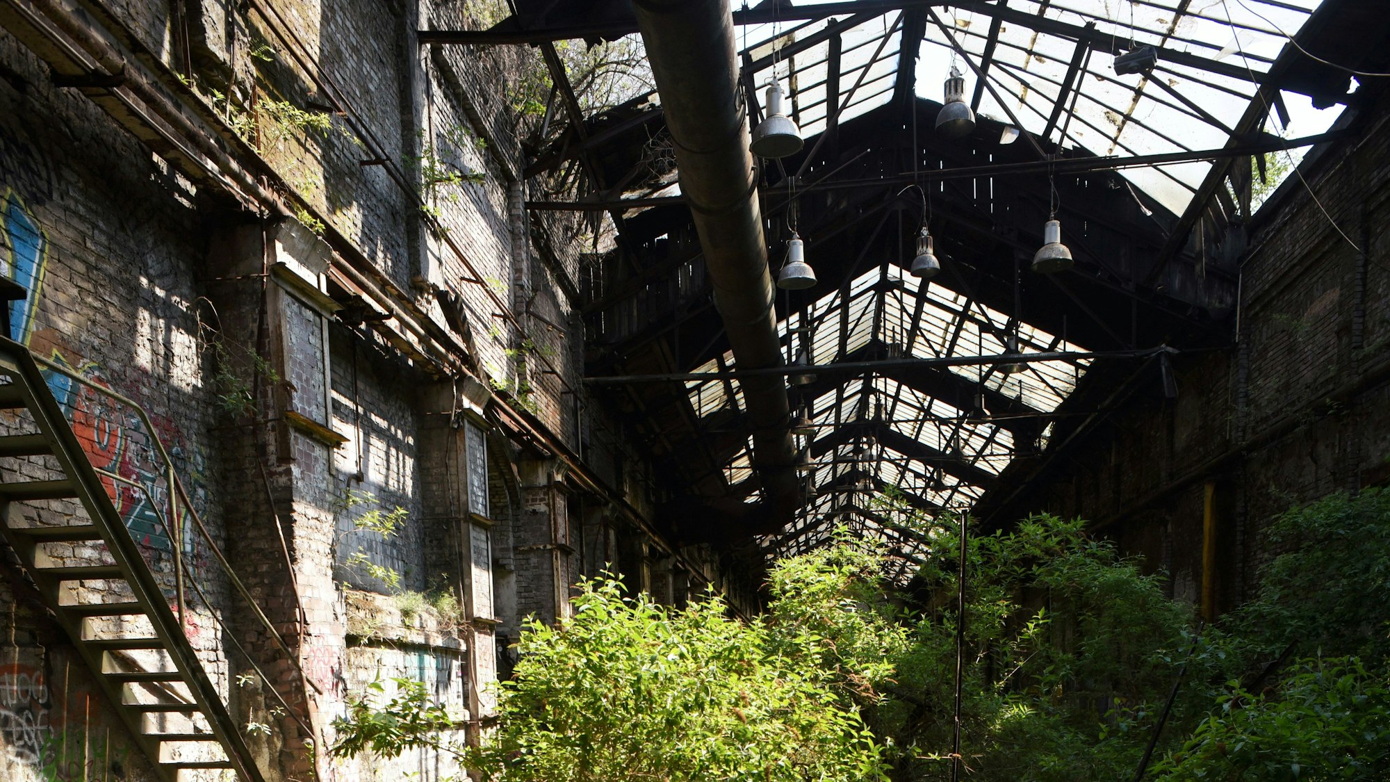 Aktuell stehen die Industriehallen leer. Hier ein Bild aus 2022.