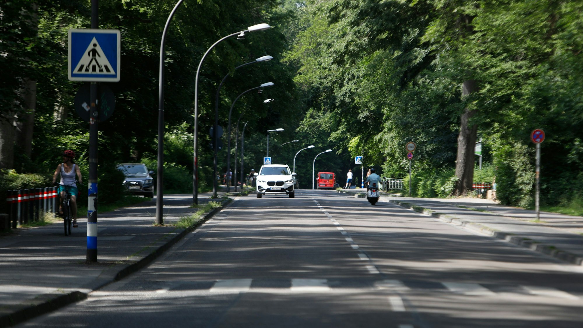 Eine Straße im Stadtwald.