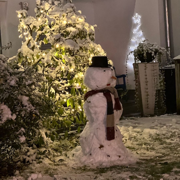 Festliche Stimmung dank Weihnachtsstern und Lichterketten.