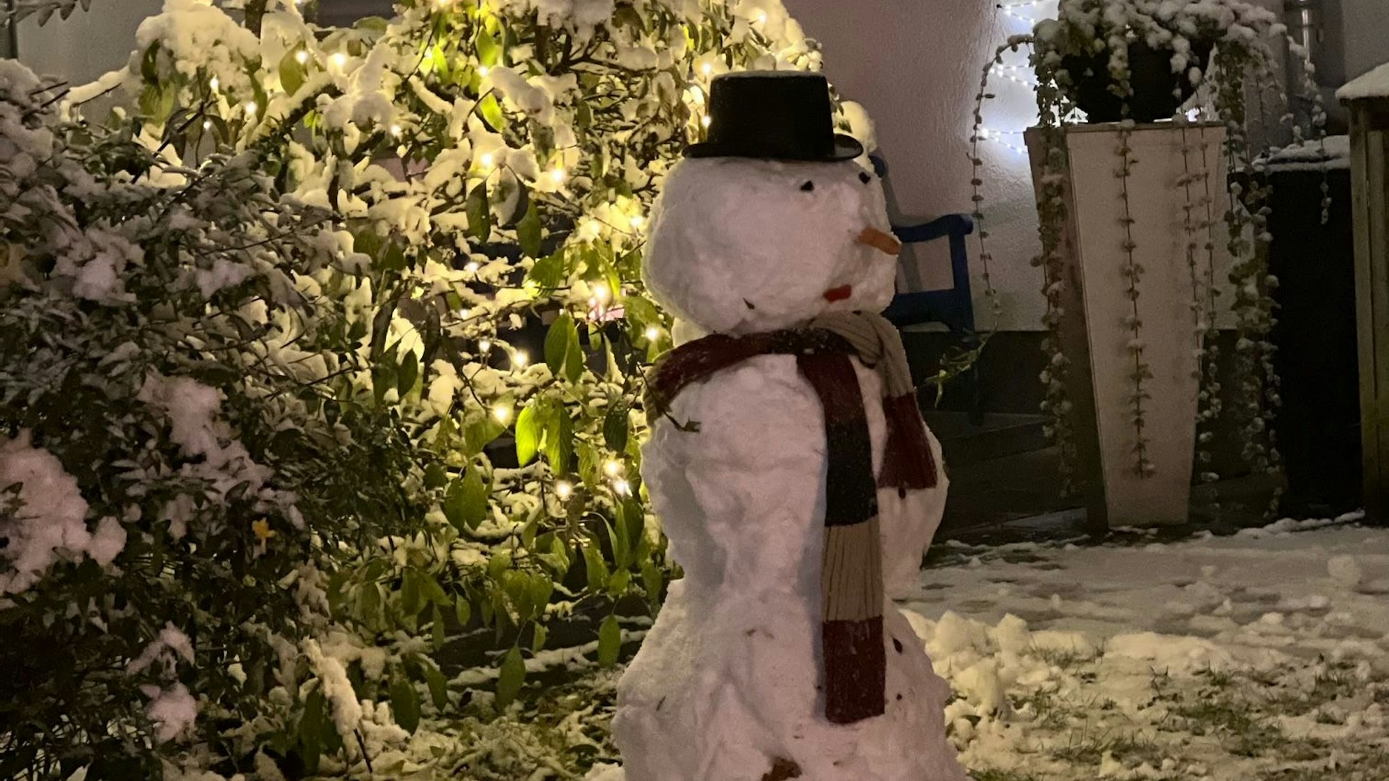 Festliche Stimmung dank Weihnachtsstern und Lichterketten.