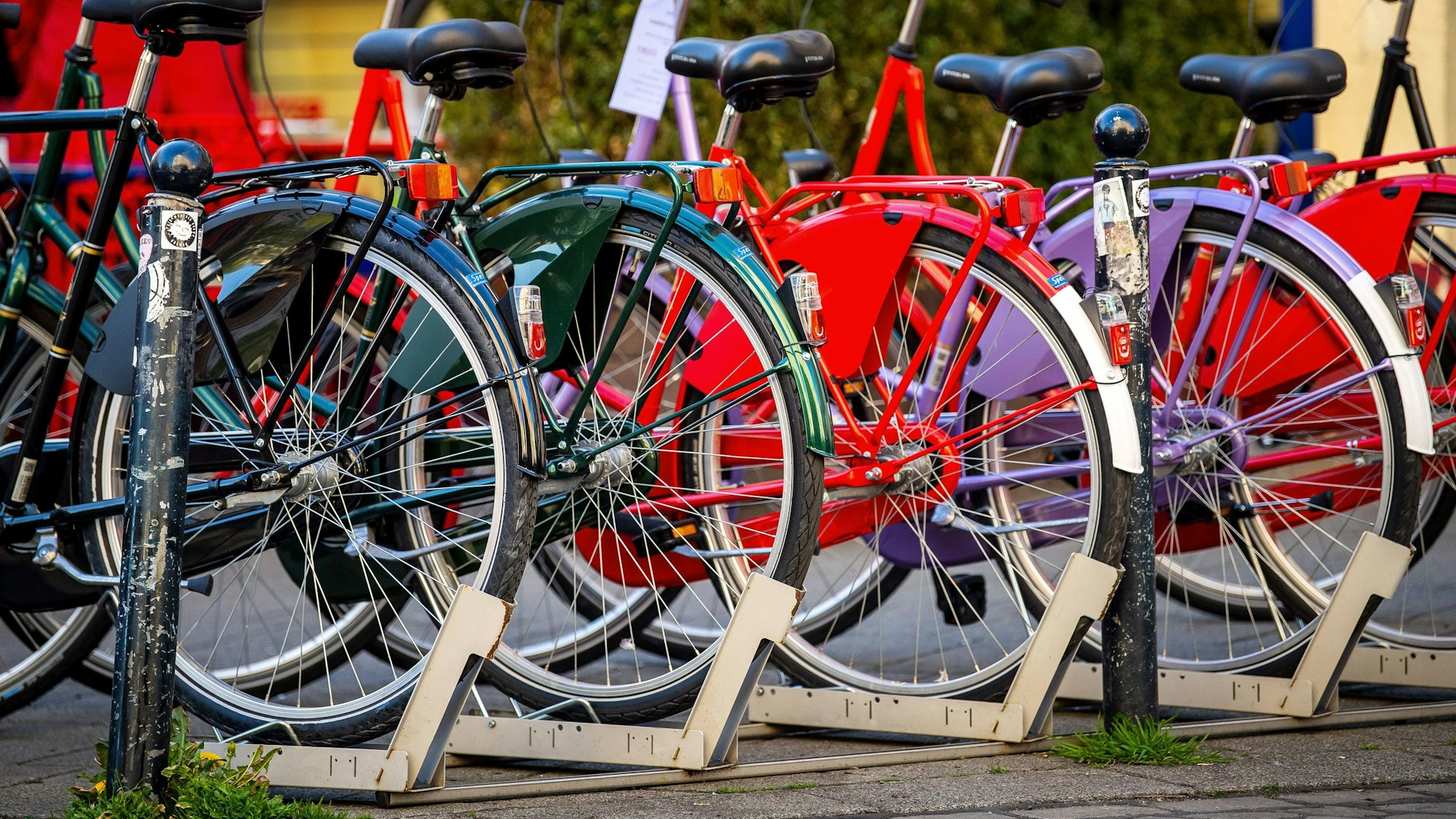 Fahrräder werden vor einem Geschäft zum Verkauf angeboten.