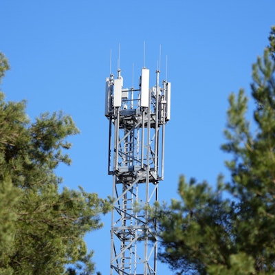 Ein Mast mit Mobilfunk-Antennen steht zwischen Kiefern.