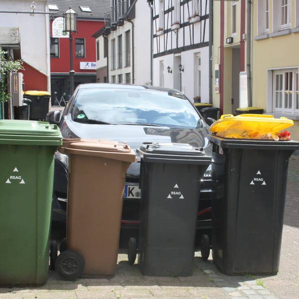 Eine Papiertonne, eine Biotonne, eine Restmülltonne und eine Wertstofftonne der RSAG stehen nebeneinander abholbereit auf einer Straße in Siegburg.