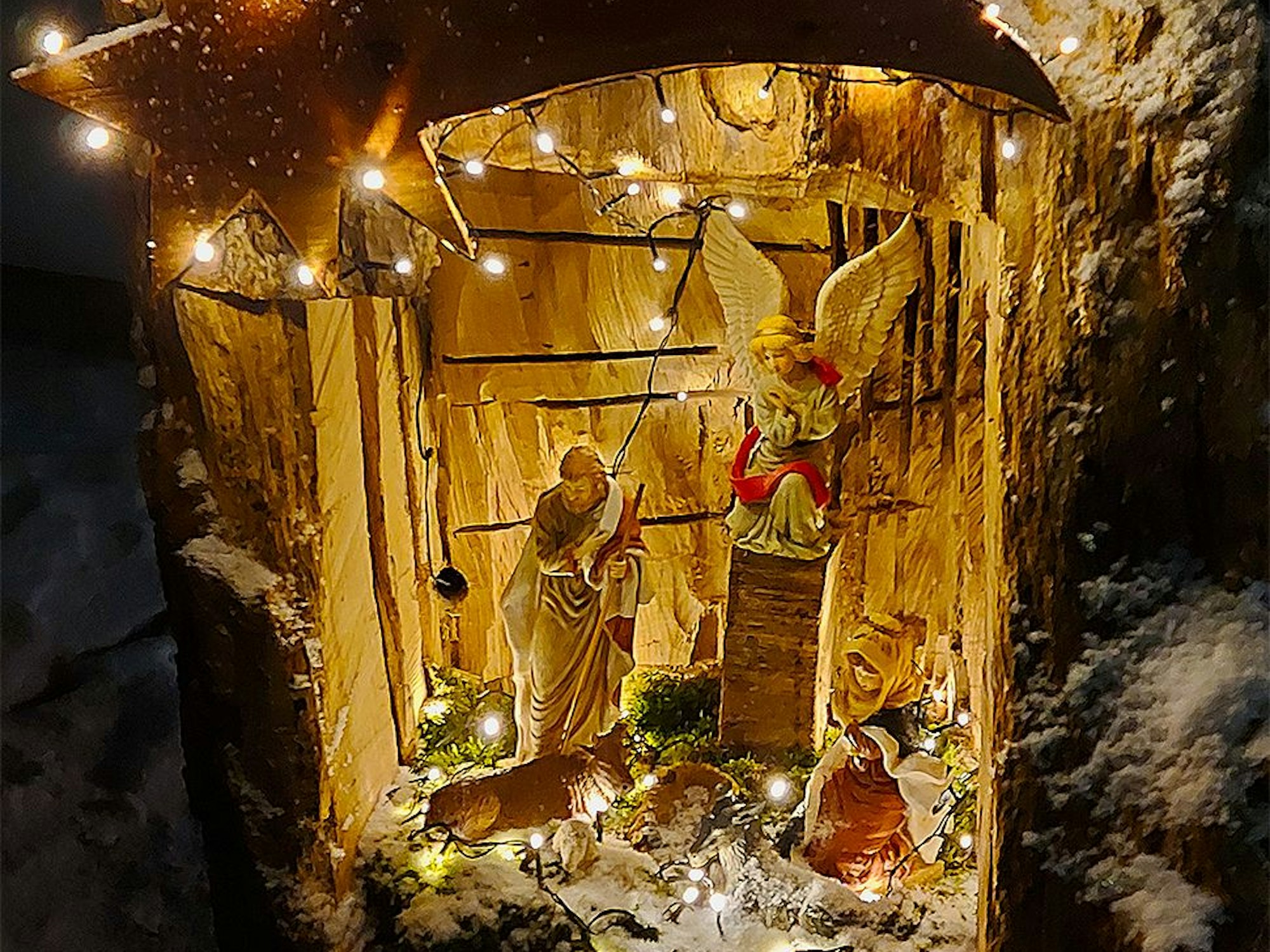 Ein ausgehöhlter Baumstamm dient ebenfalls als Krippe.