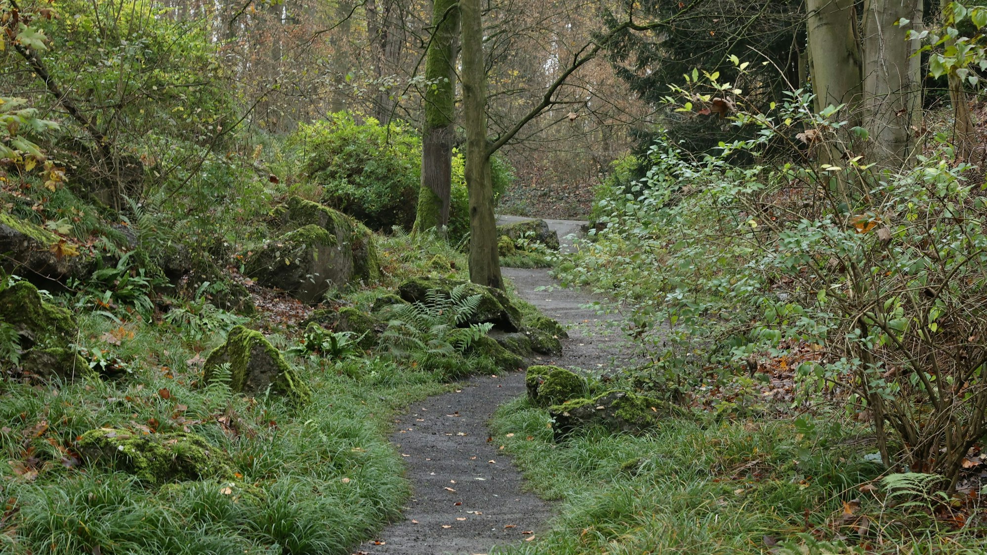Zu sehen ist der Felsengarten beim Fort VI.