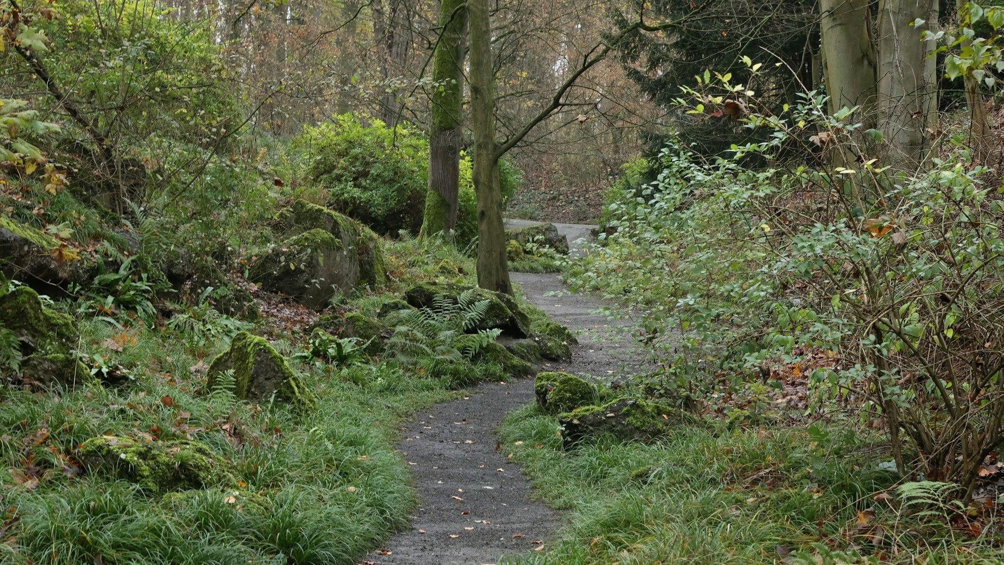 Zu sehen ist der Felsengarten beim Fort VI.