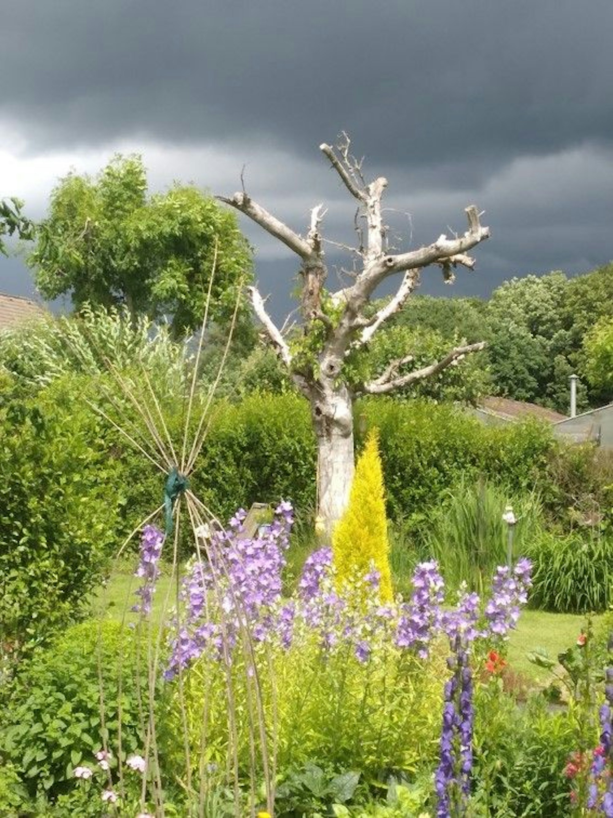 1500 Quadratmeter pflegt Angelika Stüttgen.