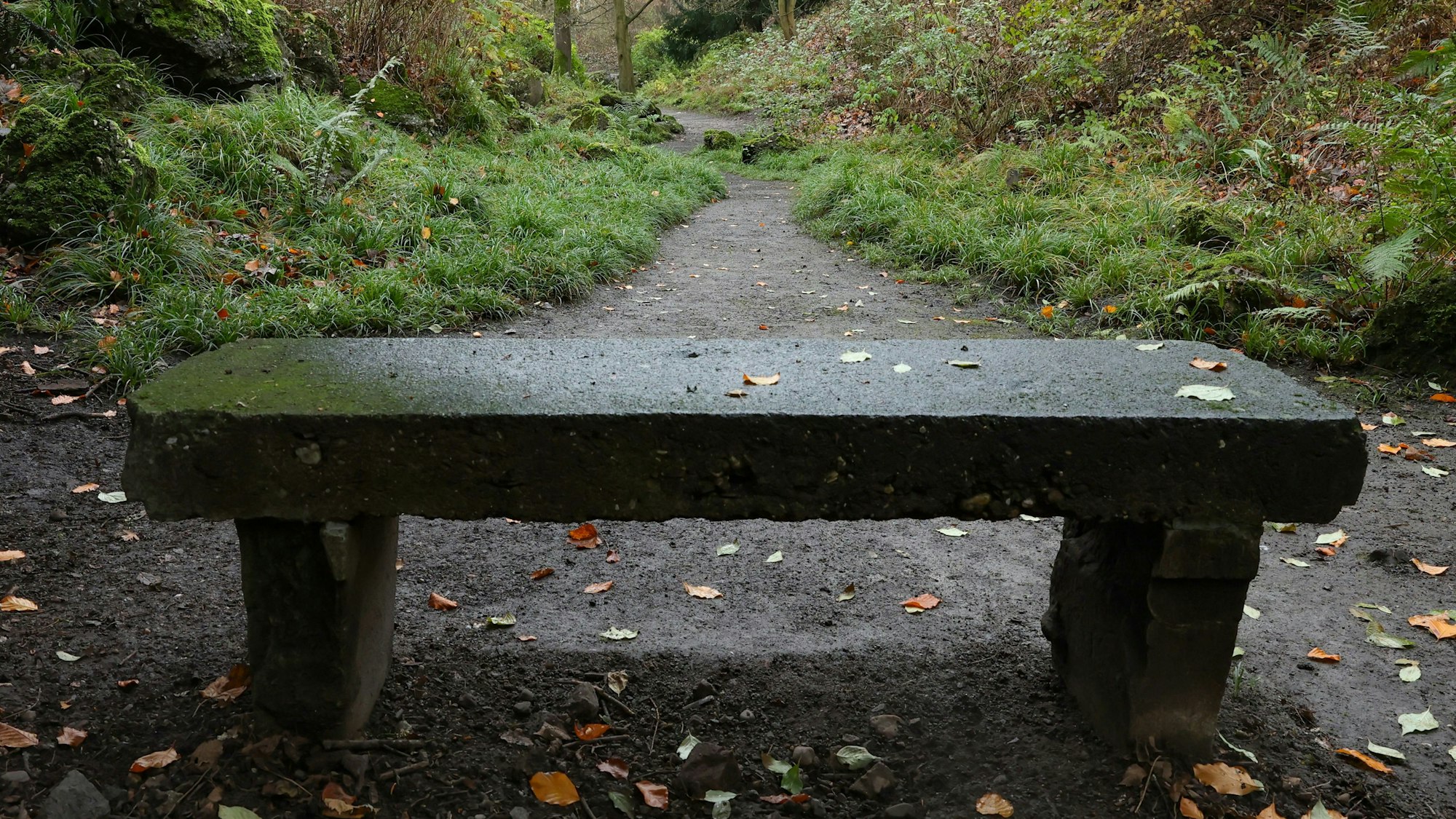 Zu sehen ist eine Steinbank.