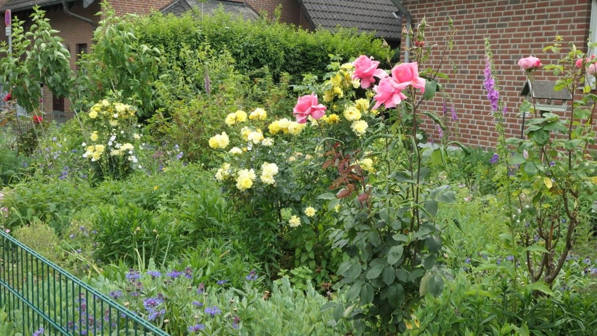 Der Garten von Doris Pohlig.
